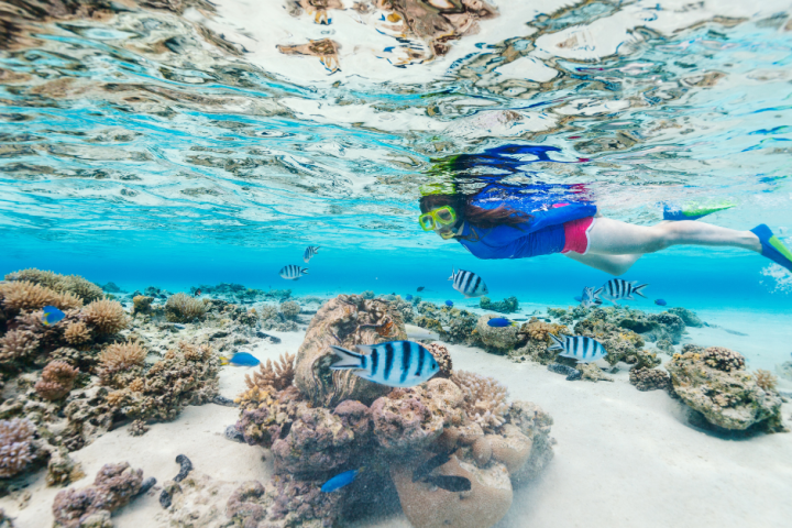 a flock of seagulls are swimming in the water