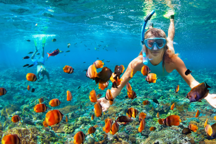 a person swimming in the water