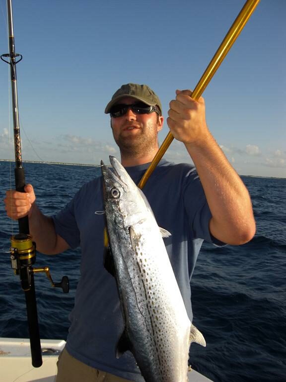 cropped-mackrel cropped-mackrel