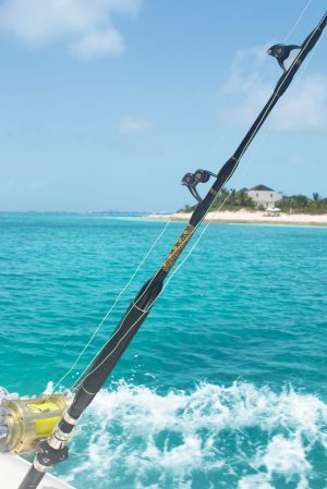 picture of fishing charter poles