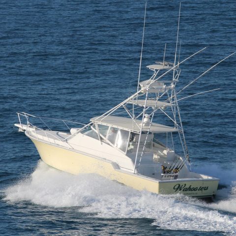 a small boat in a body of water