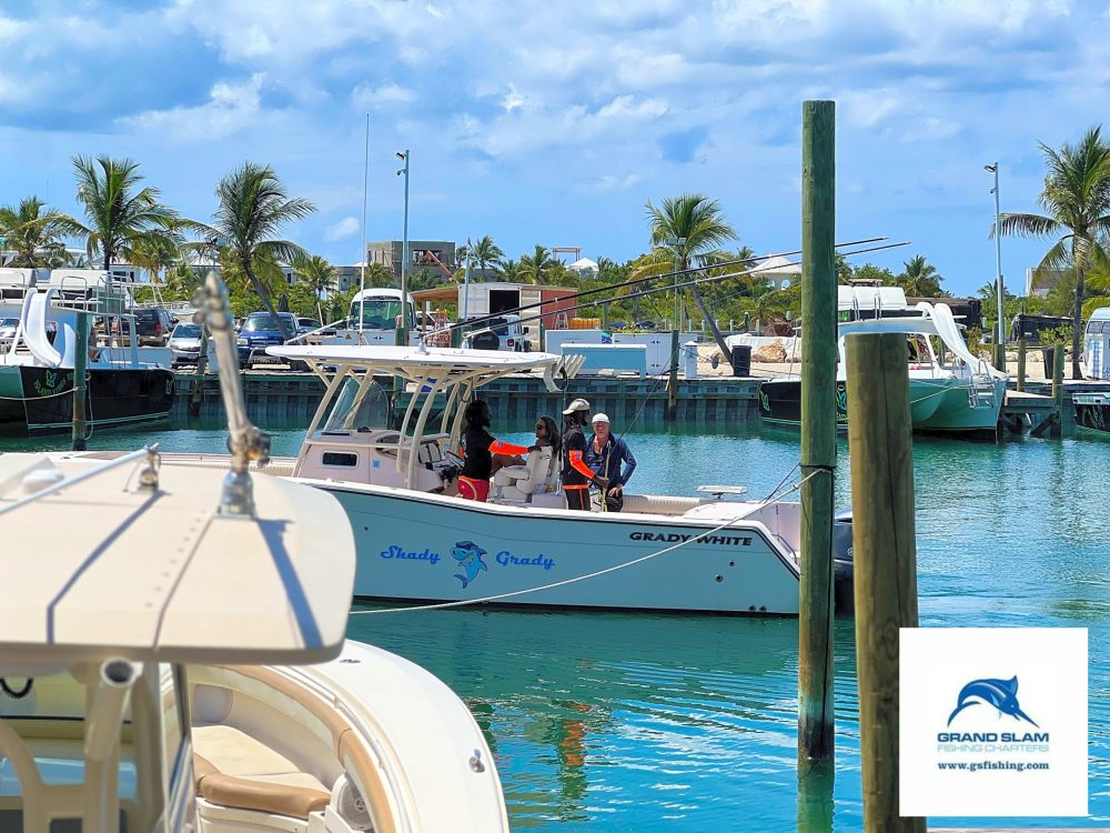 a boat that is sitting on a dock near the water