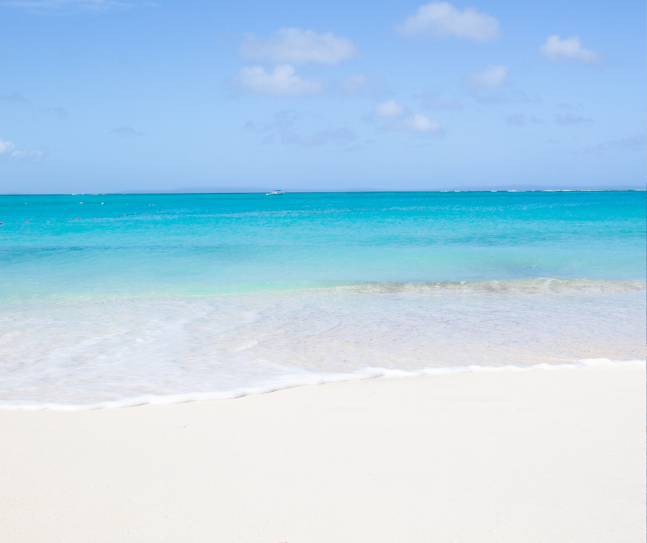 a sandy beach next to the ocean