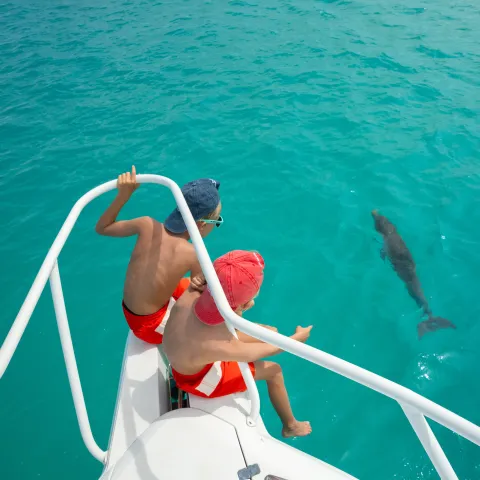 a dog swimming in a body of water