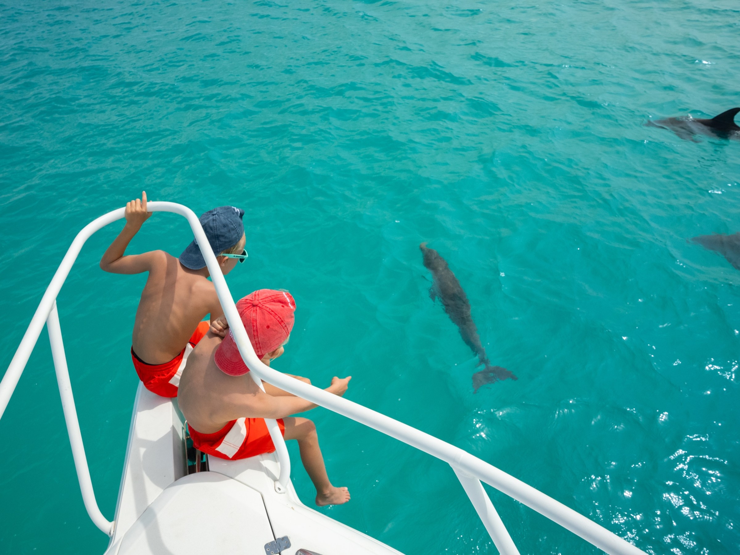 a person swimming in the water