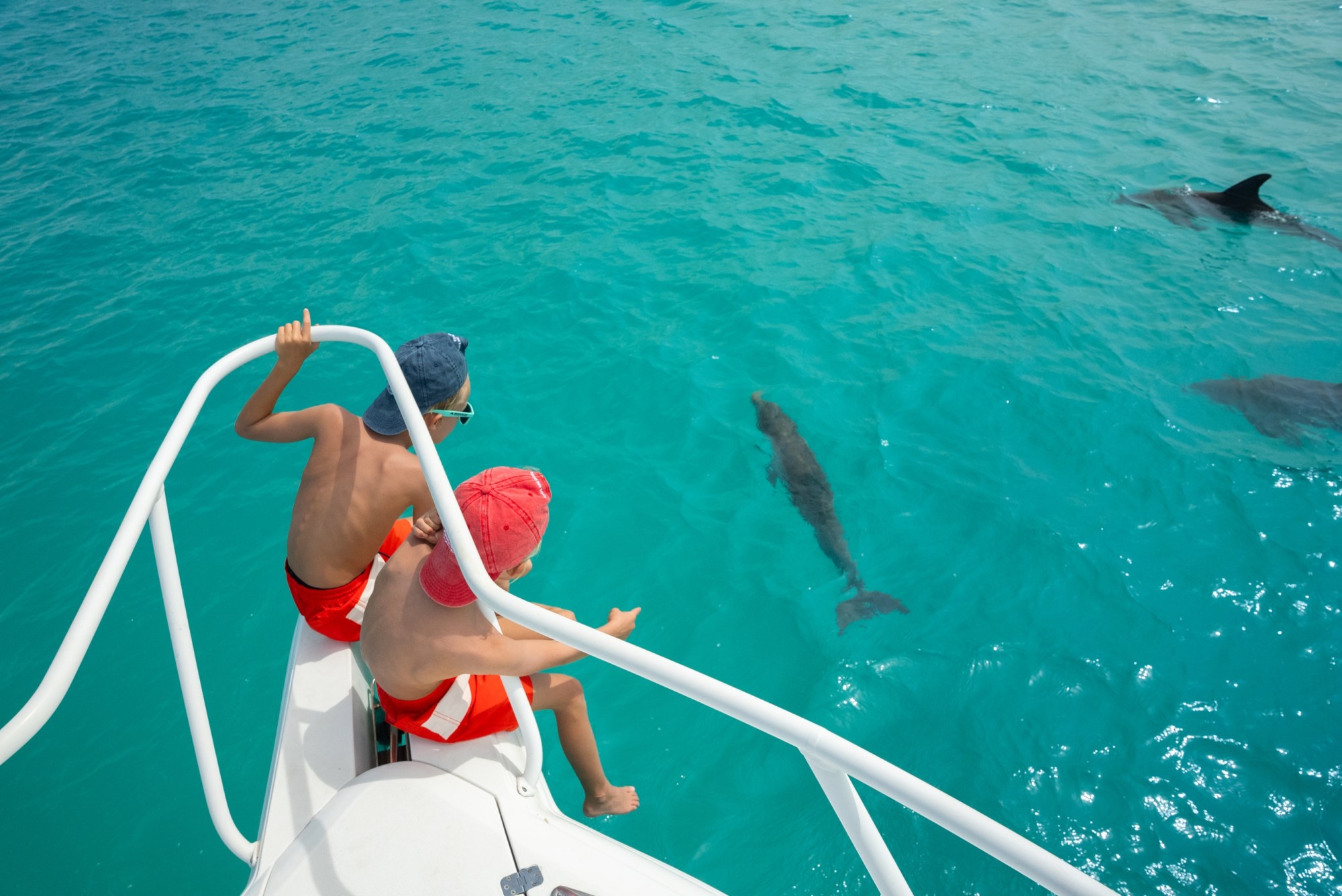 Turks and Caicos Reef Eco Tour Turks and Caicos Reef Eco Tour